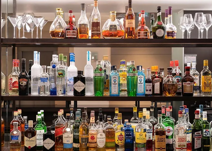 酒店 爱丽舍花园酒店 4*