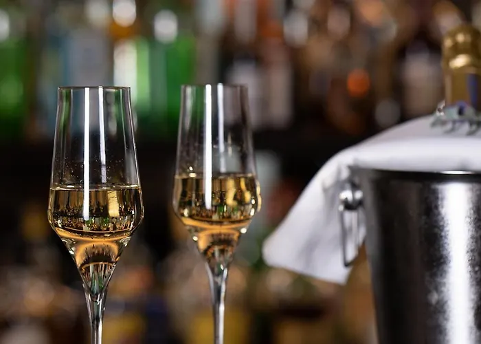 爱丽舍花园酒店 酒店 4*